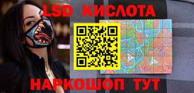 молекула духа Кингисепп