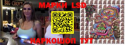 молекула духа Кингисепп