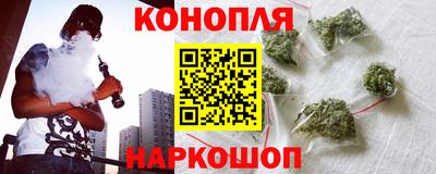молекула духа Кингисепп
