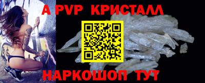 молекула духа Кингисепп