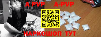 молекула духа Кингисепп