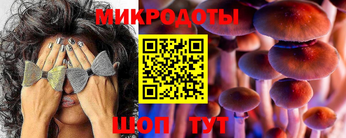 Галлюциногенные грибы Cubensis  Вход с VPN  Ярцево 